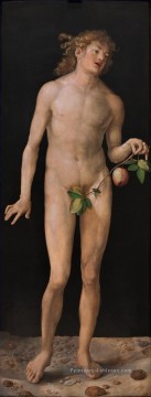  adam - Adam Albrecht Dürer